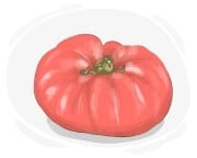beefsteak tomato