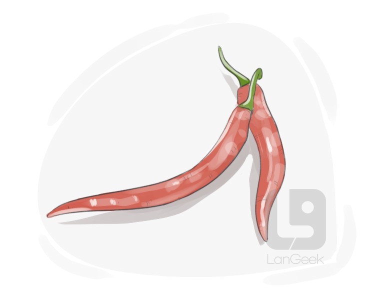 cayenne pepper definition and meaning