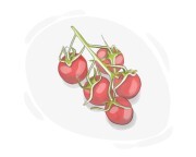 cherry tomato