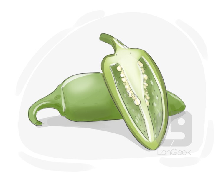 Definition & Meaning of "Jalapeno pepper" LanGeek