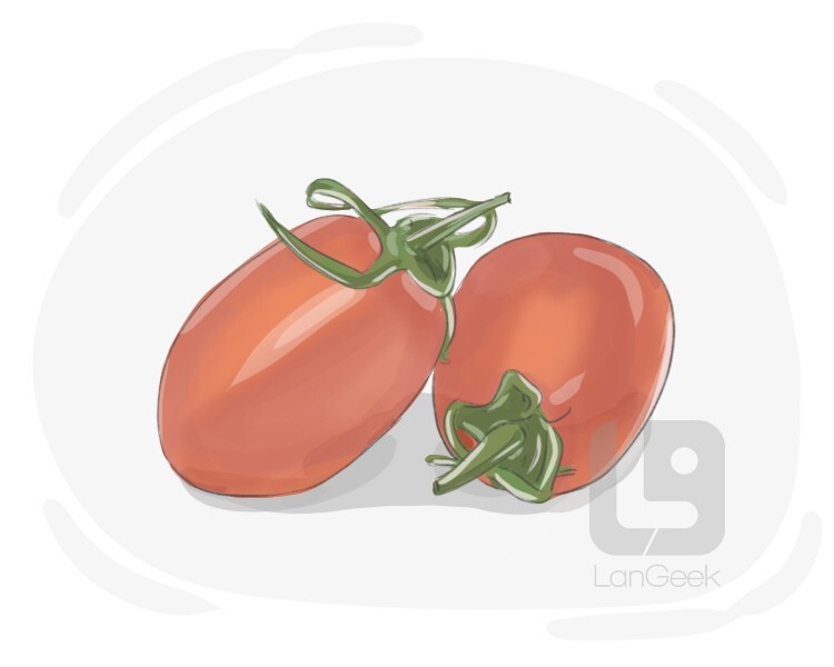 Definition & Meaning of "Plum tomato" LanGeek