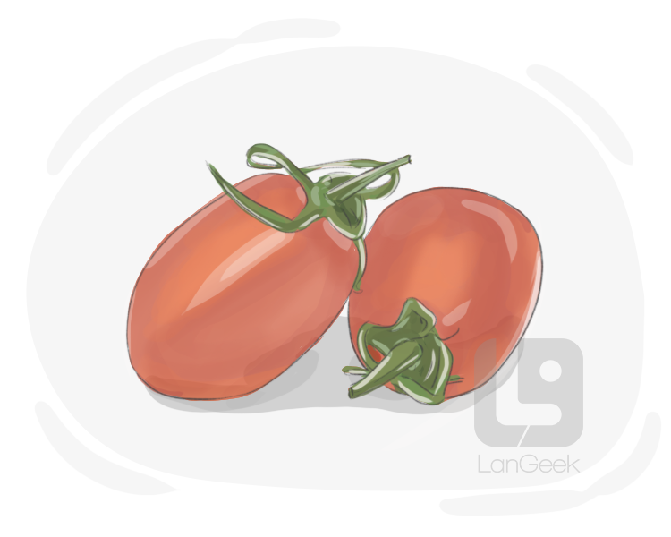 plum tomato definition and meaning