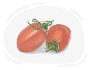 plum tomato