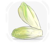 endive