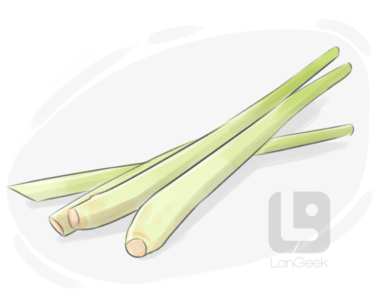 lemon grass definition and meaning