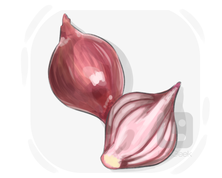 baby onion definition and meaning