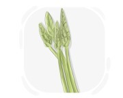 Prussian asparagus