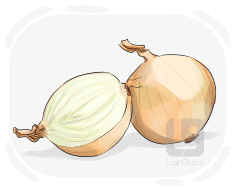 Spanish onion definition and meaning