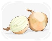Spanish onion