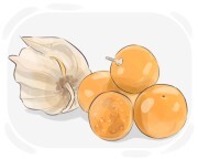 ground cherry