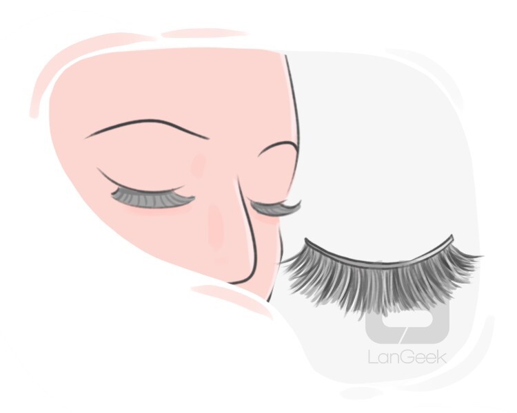 fake eyelash definition and meaning