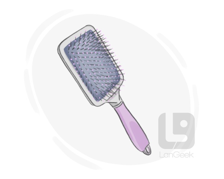 Definition & Meaning of "Paddle brush" LanGeek
