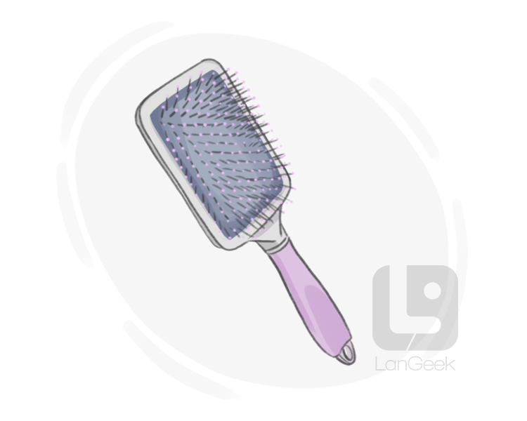 paddle brush definition and meaning
