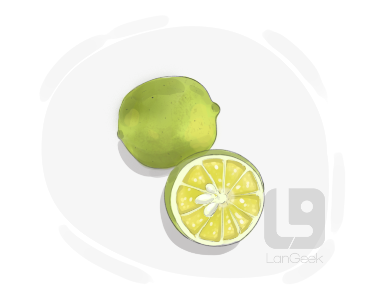 key lime definition and meaning