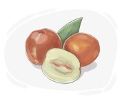 jujube