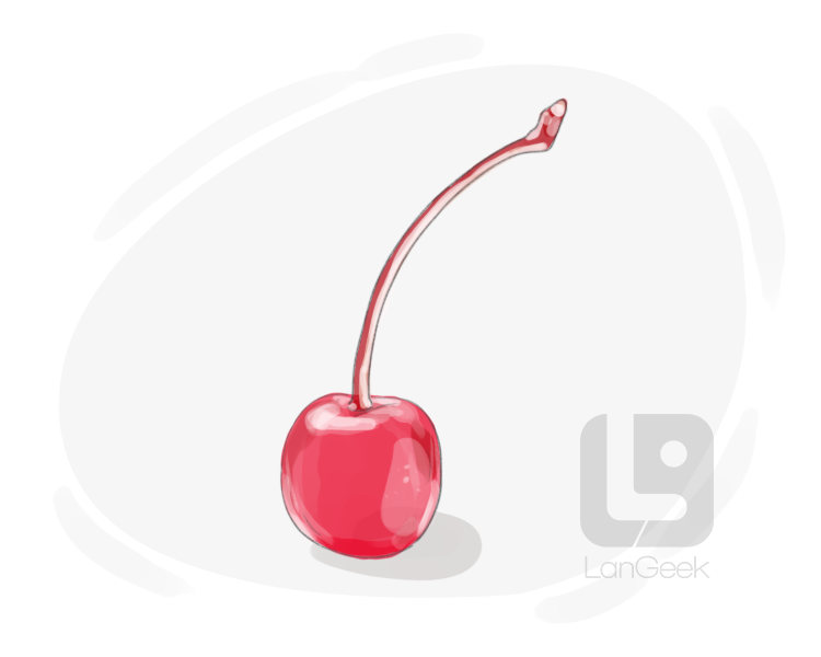 maraschino cherry definition and meaning