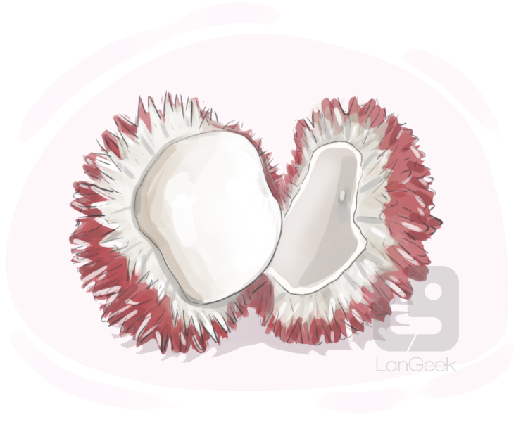 pulasan definition and meaning