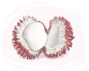 pulasan