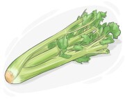 celery