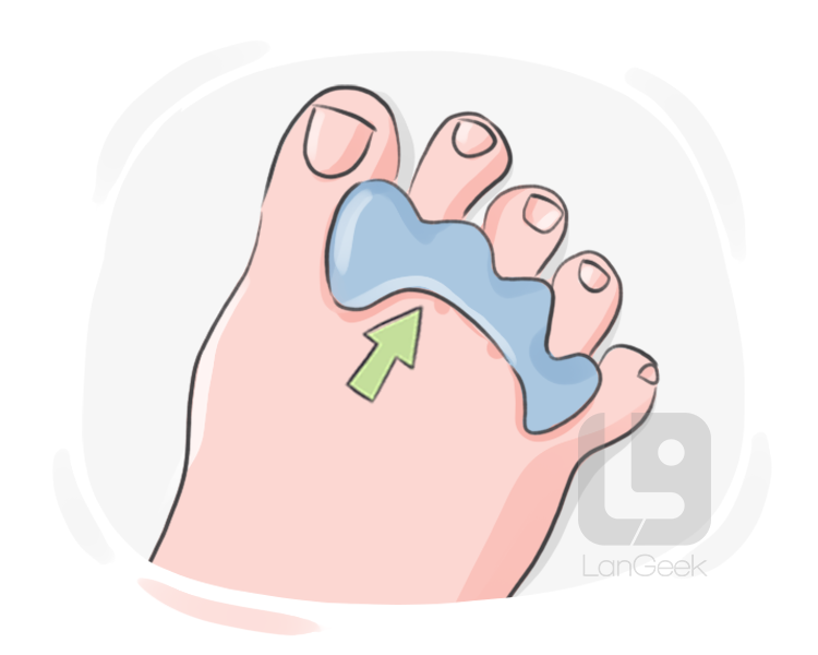 toe separator definition and meaning
