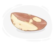 Brazil nut
