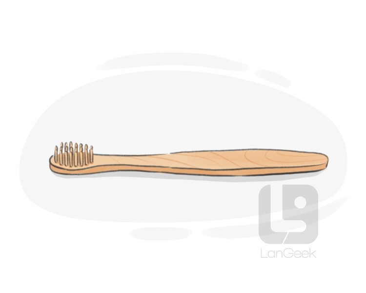 definition-meaning-of-ecological-toothbrush-langeek