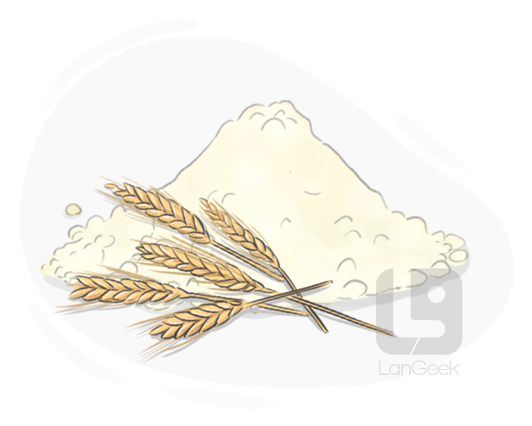 wheat flour definition and meaning