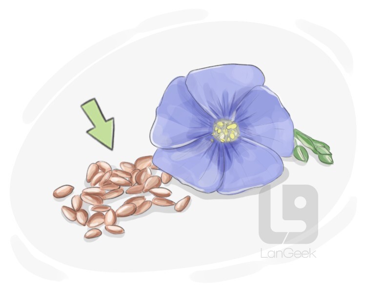 flax definition and meaning