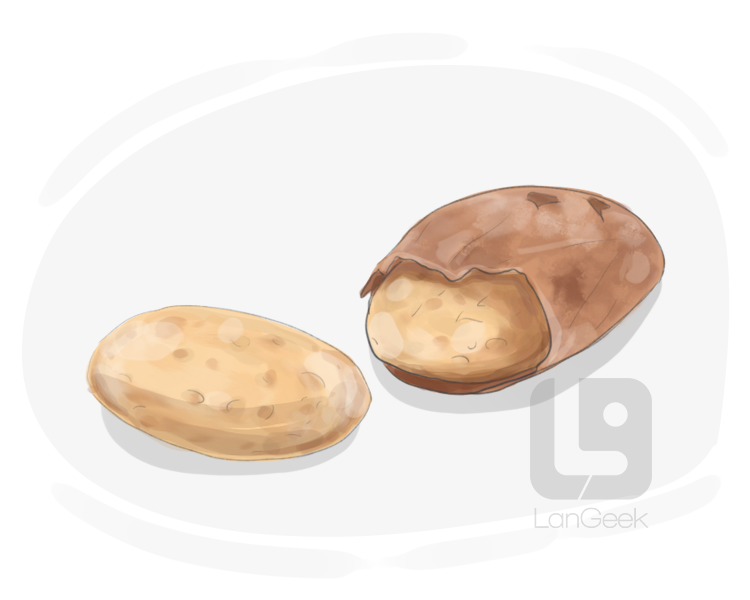 kola nut definition and meaning