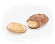 kola nut