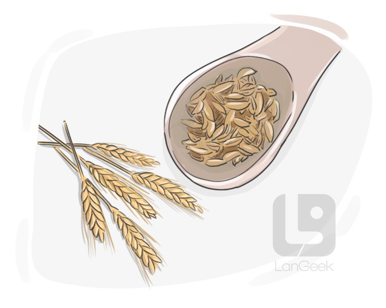 starch wheat definition and meaning