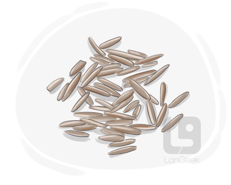 Definition & Meaning of "Wild rice" LanGeek