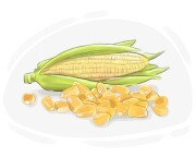 corn