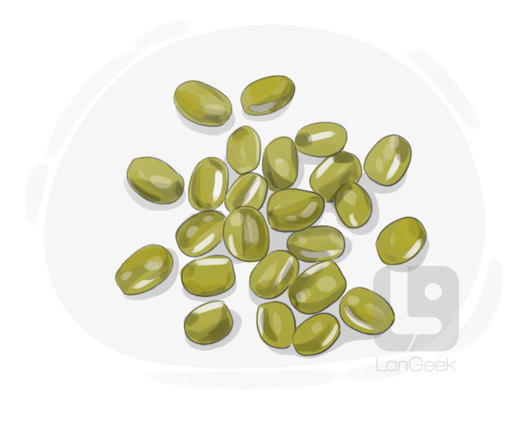 mung bean definition and meaning