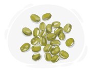 mung bean