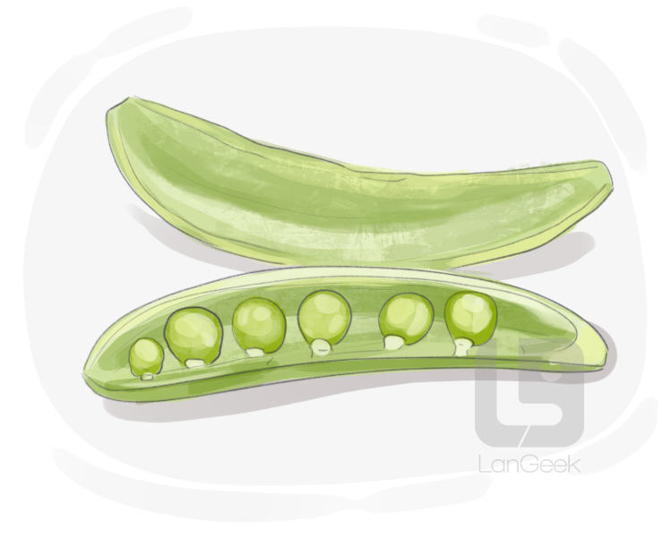 sugar snap pea definition and meaning
