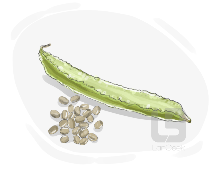 winged pea definition and meaning
