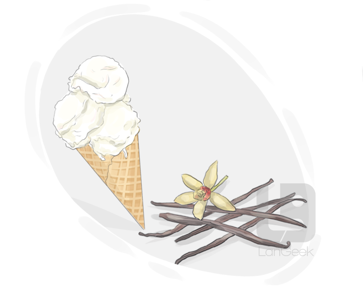 vanilla ice cream definition and meaning