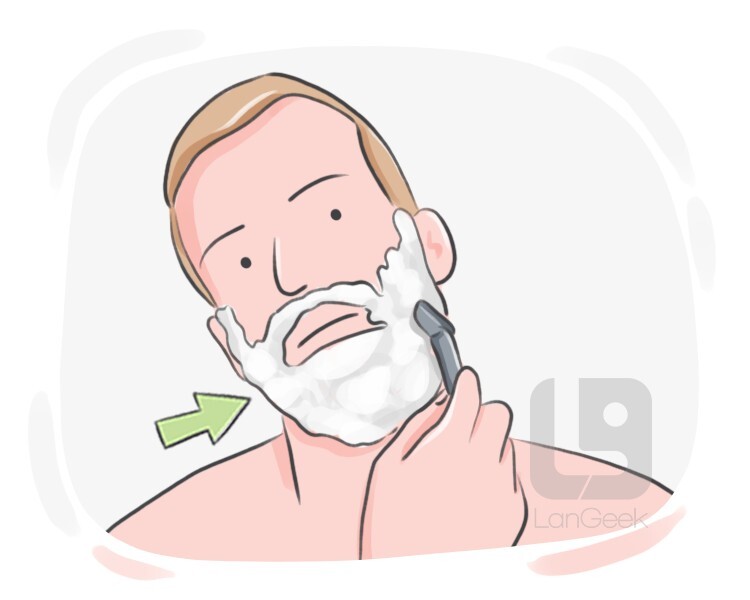 shaving gel definition and meaning