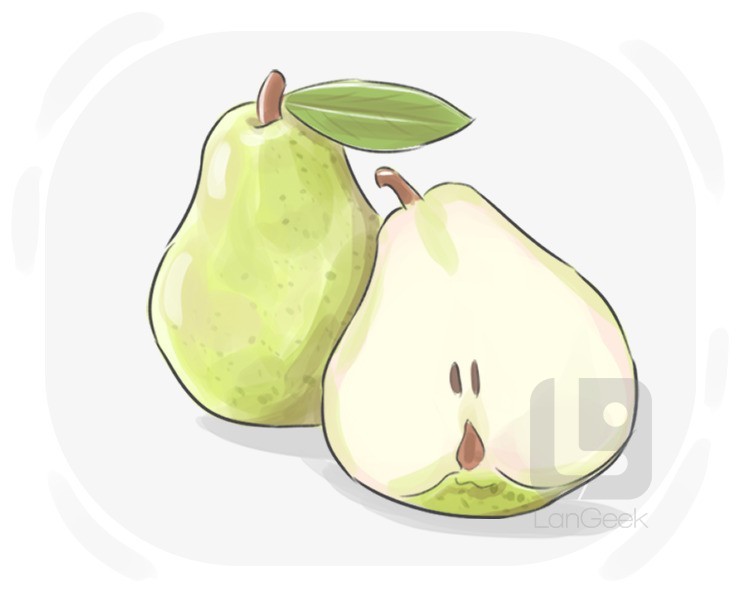 pear definition and meaning
