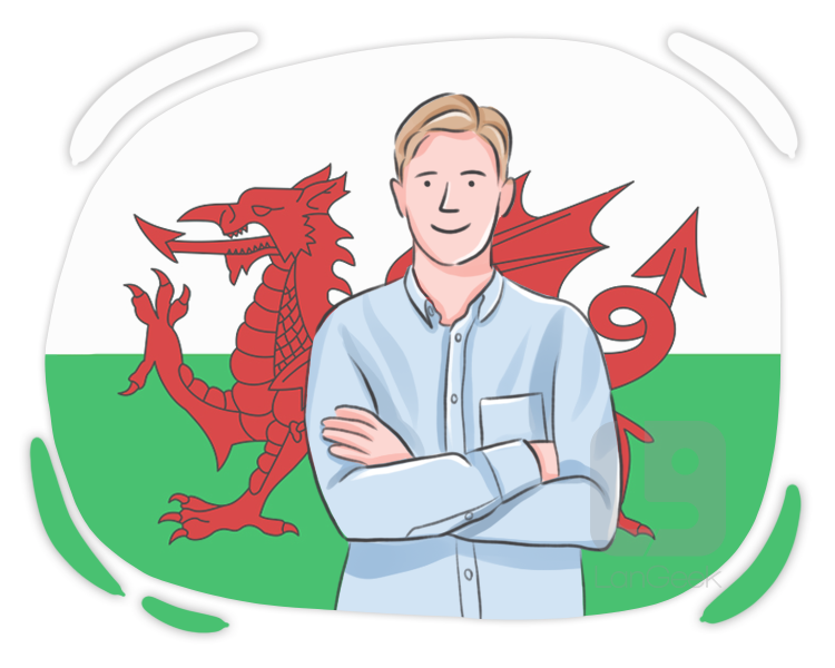 welshman definition and meaning