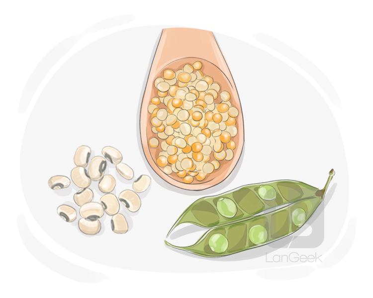 legume definition and meaning