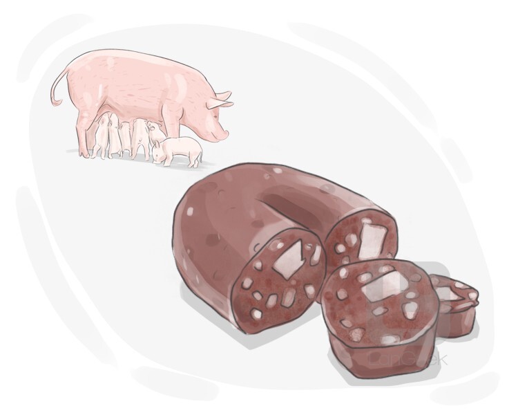 definition-meaning-of-blood-sausage-langeek