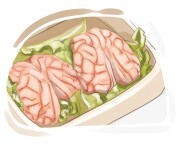 brain
