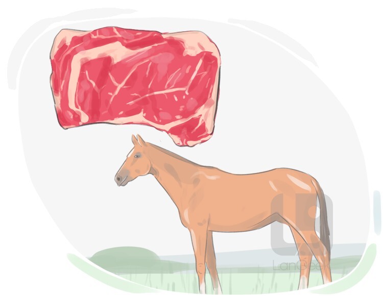 horsemeat definition and meaning