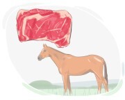 horseflesh