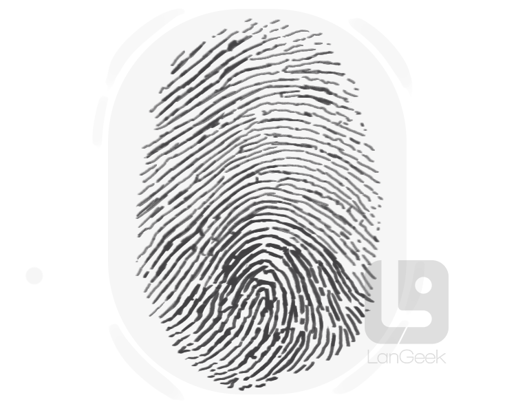 fingerprint definition and meaning