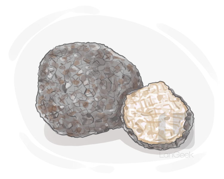 truffle definition and meaning