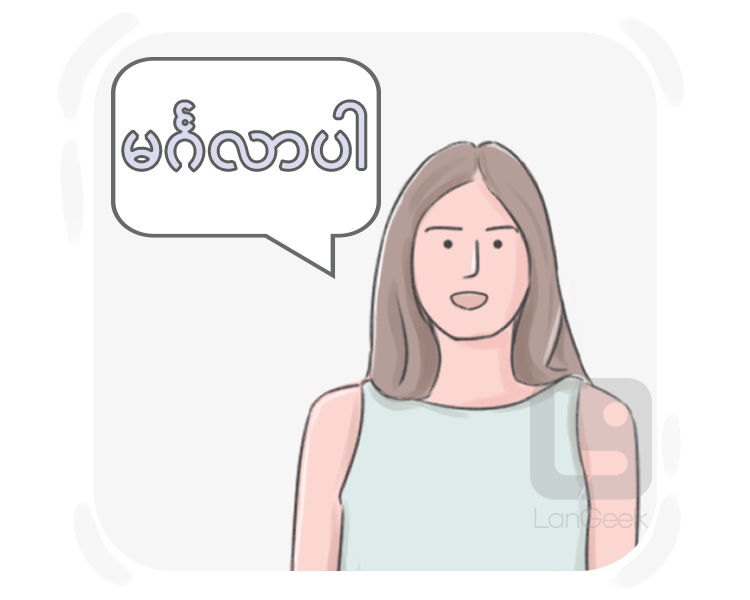 Burmese definition and meaning