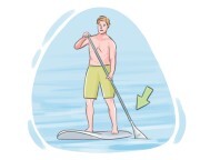 paddle
